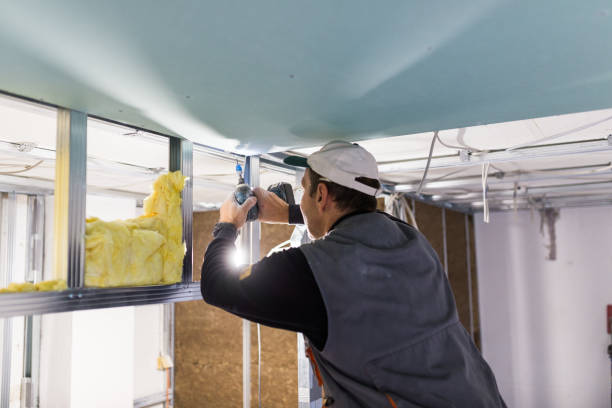 Best Specialized Insulation Services in North Puyallup, WA